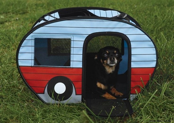 10 x cute campers for dogs 