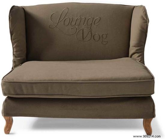 8 x the nicest dog beds 