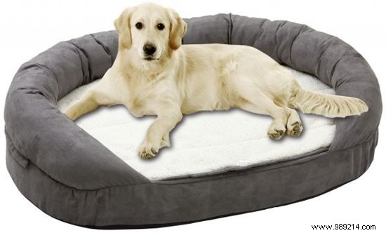 8 x the nicest dog beds 