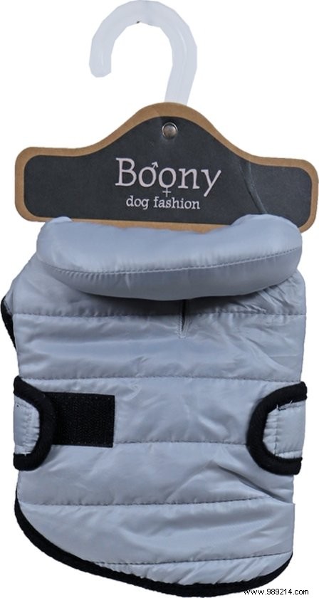 11 x the nicest dog coats 