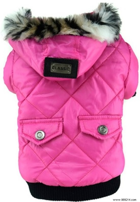 11 x the nicest dog coats 