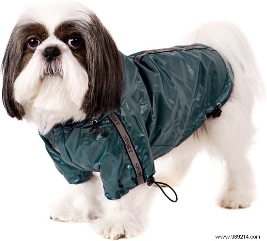 11 x the nicest dog coats 