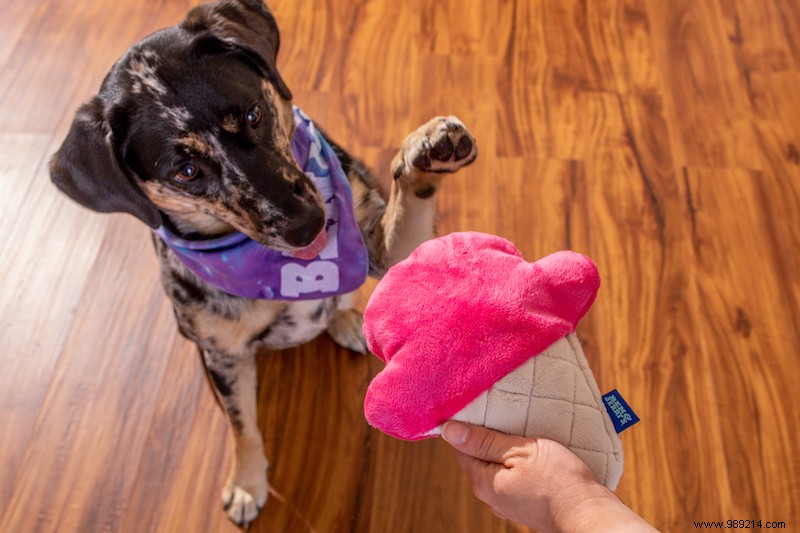 Ben &Jerry now also has Doggie Desserts 