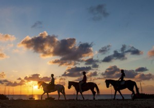 Explore Formentera on foot, by bike or on horseback 