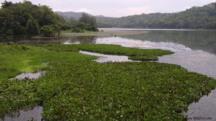 Central America as a holiday destination 