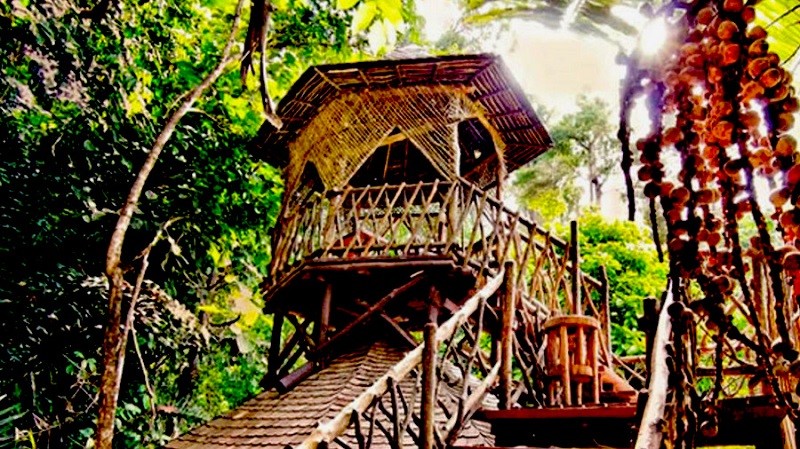 10 x magical tree house hotels to dream away 