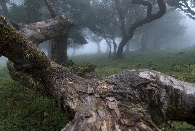 The most special “instagrammable” locations in Portugal 