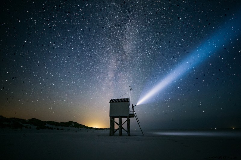 5 x nocturnal nature on the Wadden Islands 