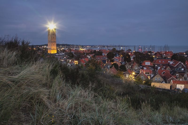 5 x nocturnal nature on the Wadden Islands 