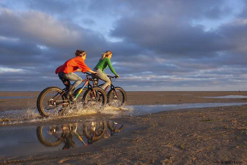 5 x nocturnal nature on the Wadden Islands 