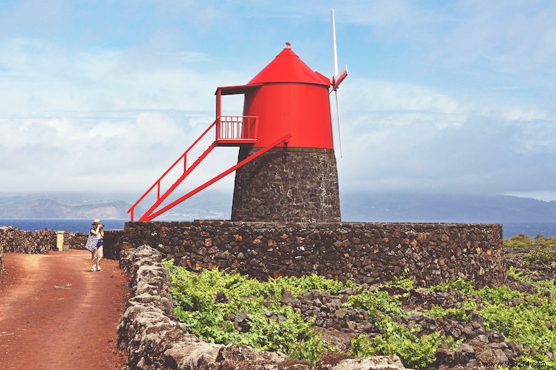 On holiday to the  Quinta :Portuguese country life 