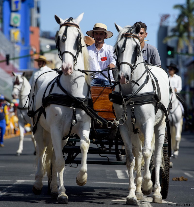 This is how Christmas is celebrated in Central America and the Dominican Republic 