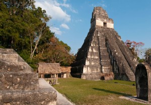 Immerse yourself in the fascinating Mayan culture of Central America 