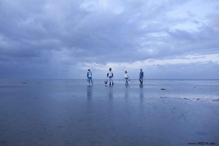 Friesland will pay tribute to its unique landscape in 2021 