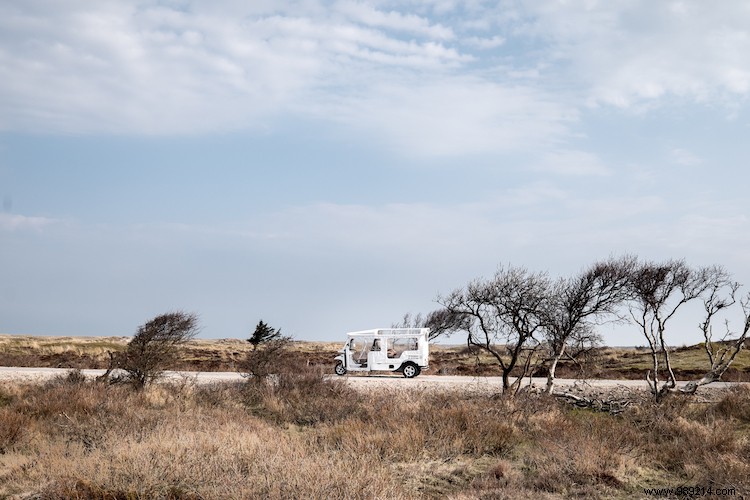 Friesland will pay tribute to its unique landscape in 2021 