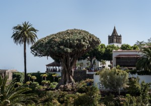 4x historical places in the north of Tenerife 