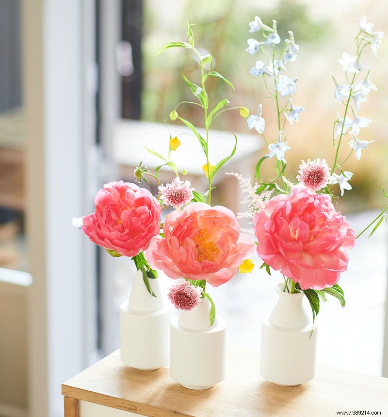 The romantic beauty of peonies 