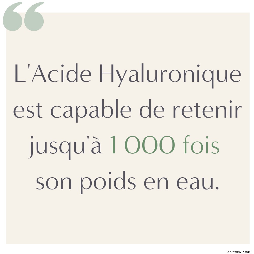 Focus on hyaluronic acid 