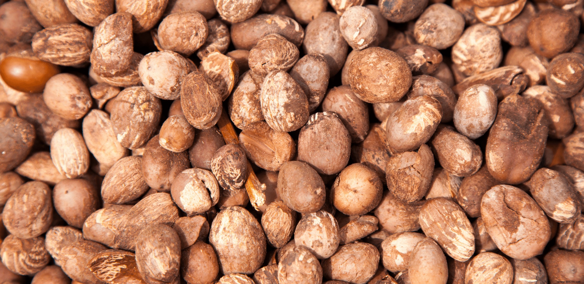 Shea Butter Hair Mask 