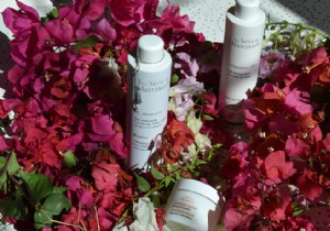 Autumn face care with products with ingredients of natural origin 