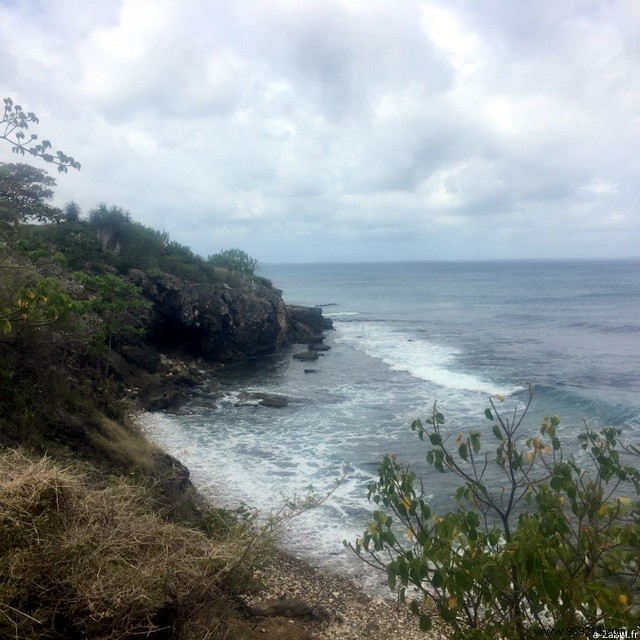 A few days in paradise:in Guadeloupe! 