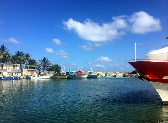 A few days in paradise:in Guadeloupe! 