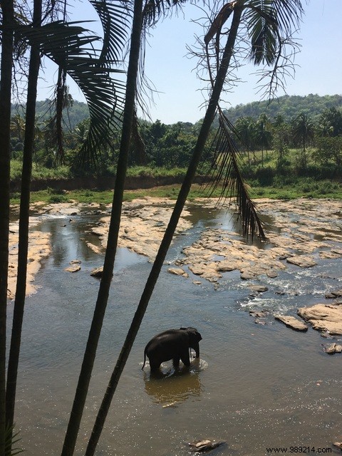 Family trip to Sri Lanka 