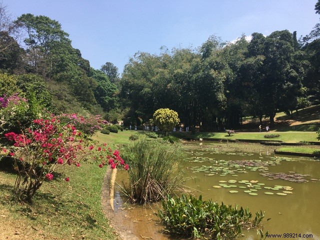 Family trip to Sri Lanka 