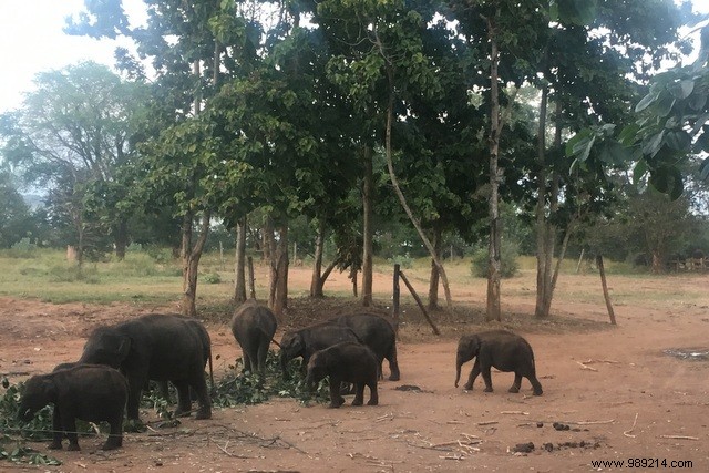 Family trip to Sri Lanka 