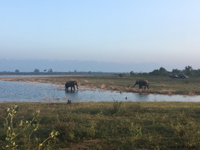 Family trip to Sri Lanka 