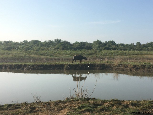 Family trip to Sri Lanka 