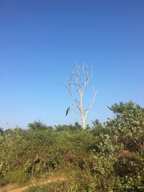 Family trip to Sri Lanka 