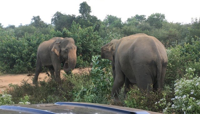 Family trip to Sri Lanka 