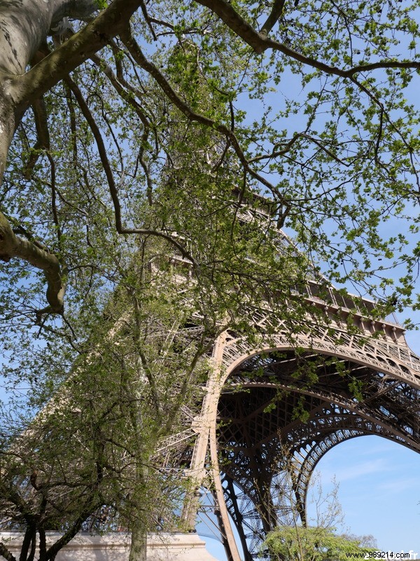 Making tourists – Paris seen from the Eiffel Tower 