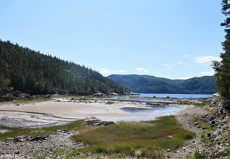 Trip to Canada #2:Tadoussac – Saguenay – Lac St Jean 