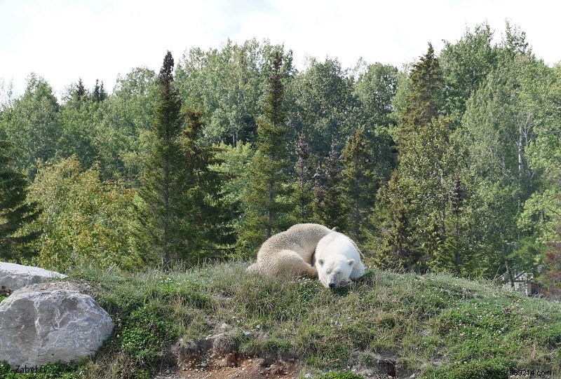 Trip to Canada #2:Tadoussac – Saguenay – Lac St Jean 