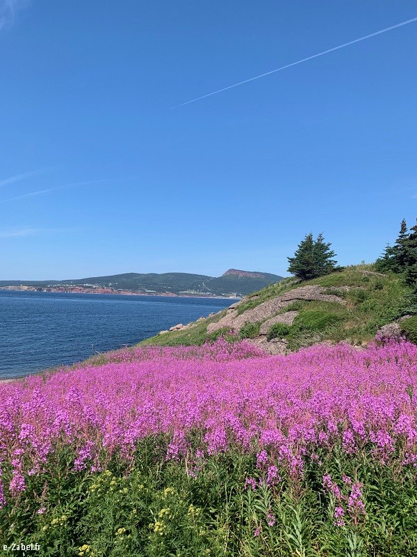 Holidays in Canada #1:Quebec – Gaspésie 