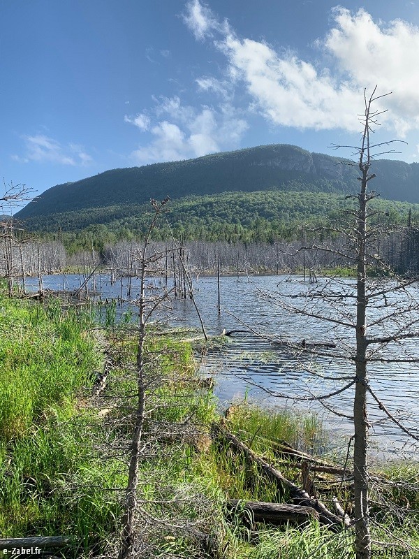 Holidays in Canada #1:Quebec – Gaspésie 