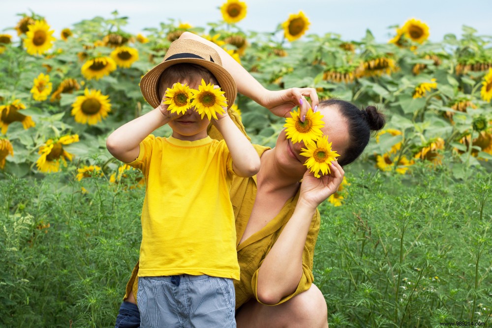 D.I.Y:What to do with your dried flowers 