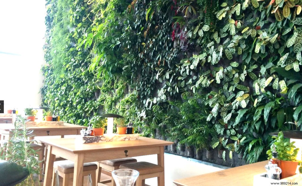 Review Vapiano Disney Village 