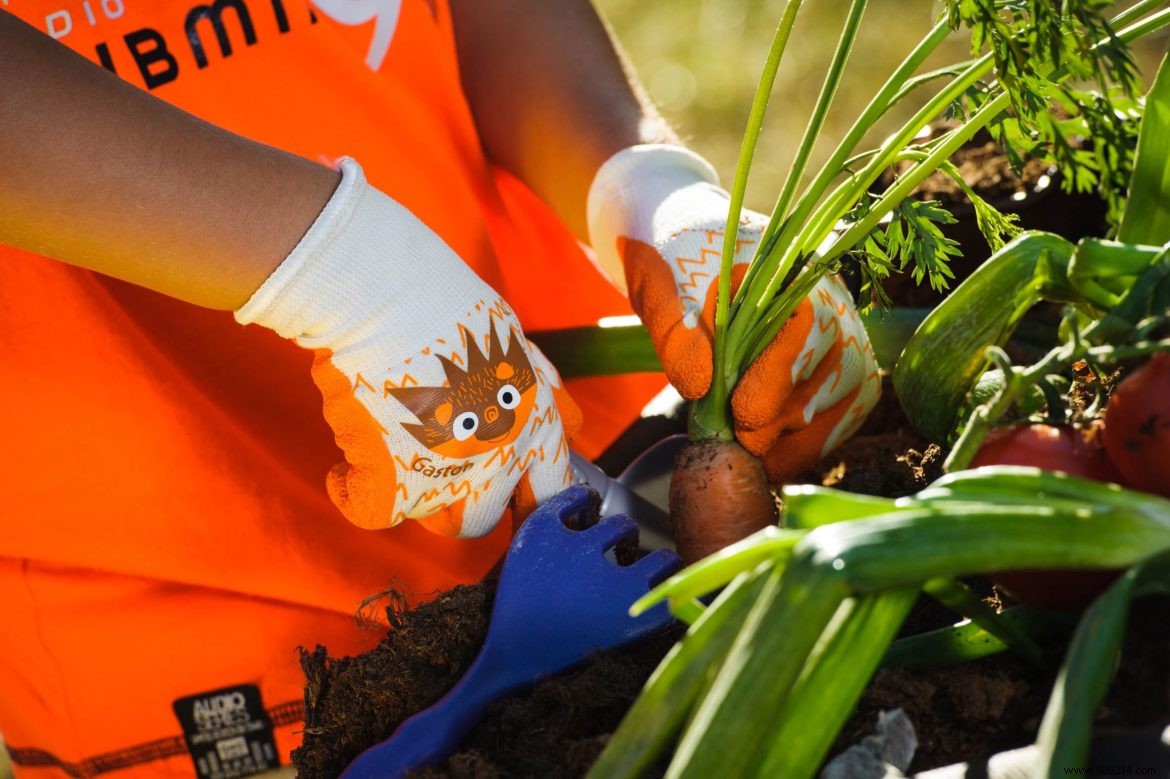 Gloves the Zamis of the small gardeners ROSTAING 