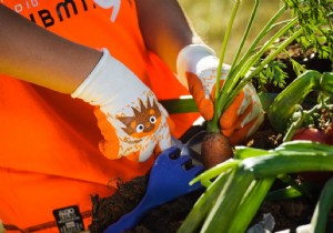 Gloves the Zamis of the small gardeners ROSTAING 