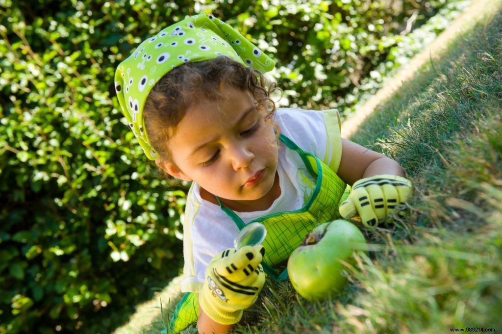 Gloves the Zamis of the small gardeners ROSTAING 