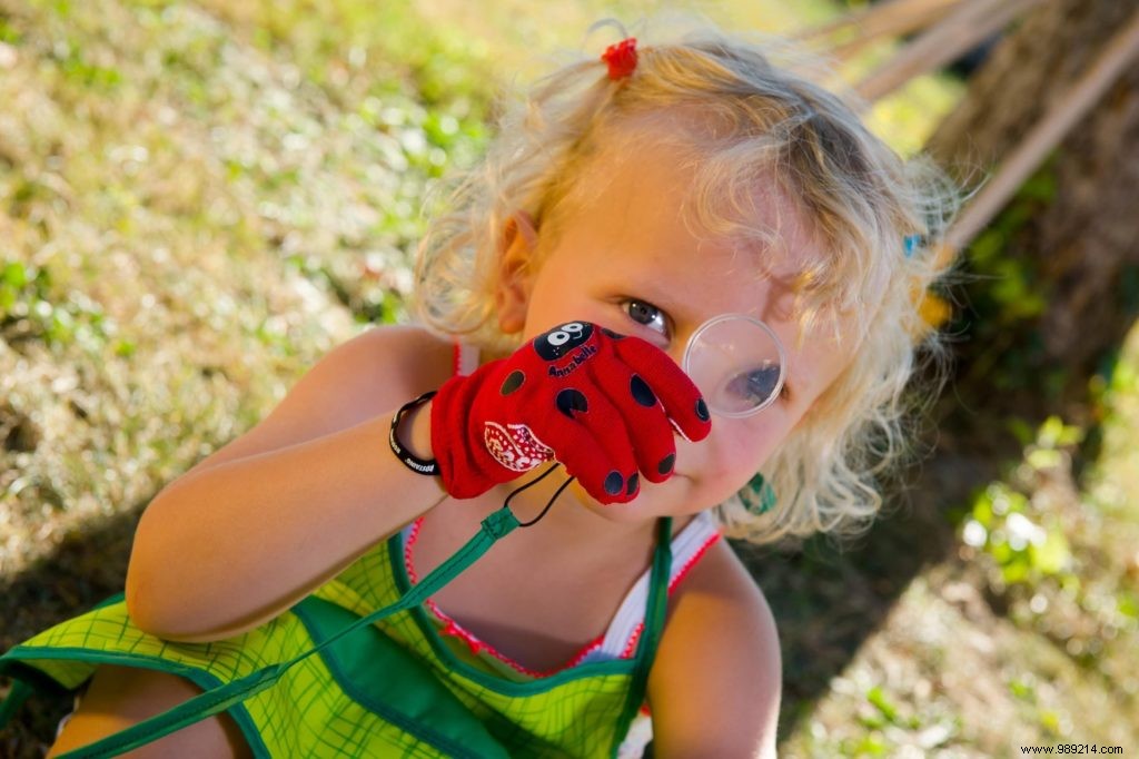 Gloves the Zamis of the small gardeners ROSTAING 