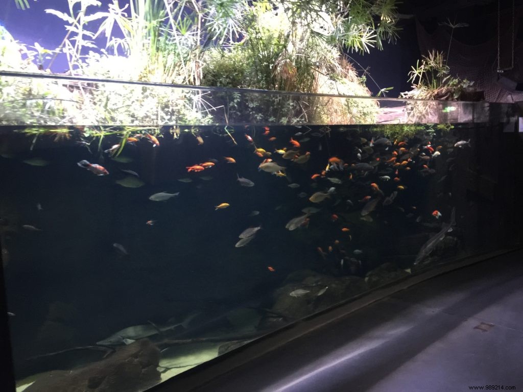 Great Egg Hunt:Aquarium de Paris 