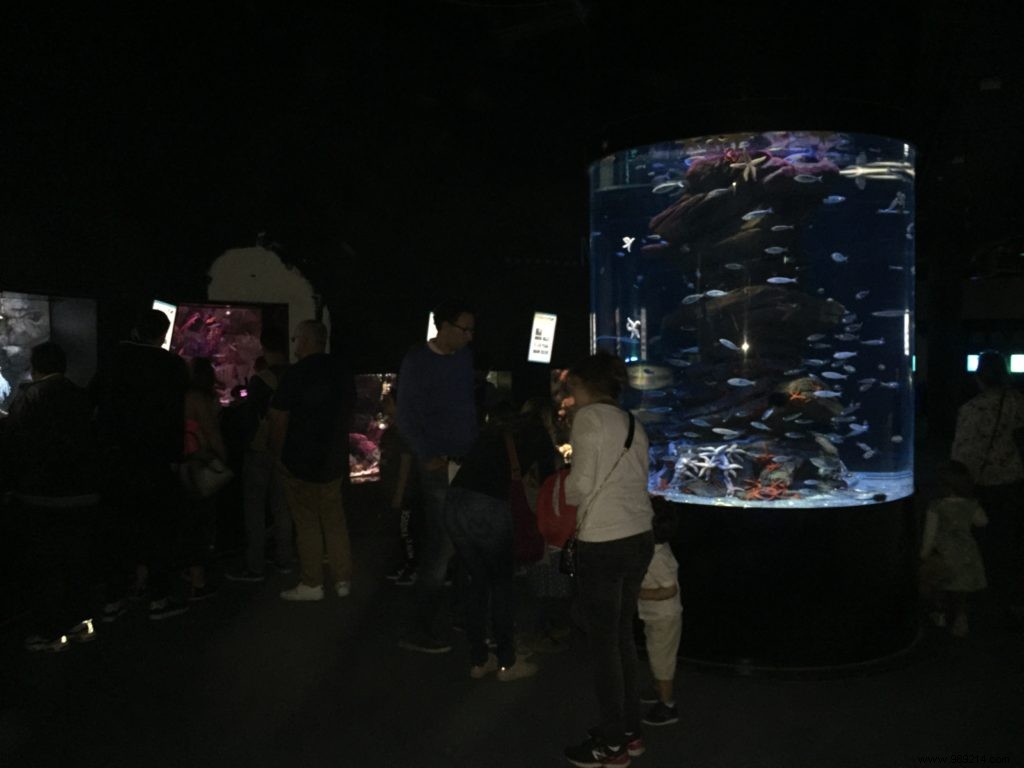 Great Egg Hunt:Aquarium de Paris 