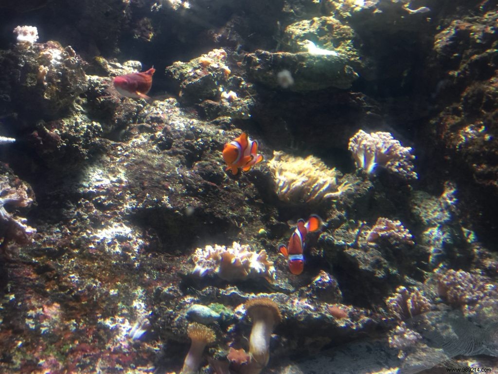 Great Egg Hunt:Aquarium de Paris 