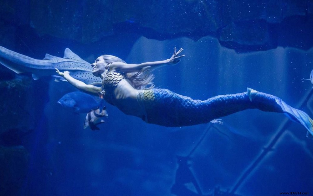 The new show at the Aquarium de Paris:Claire the Mermaid 