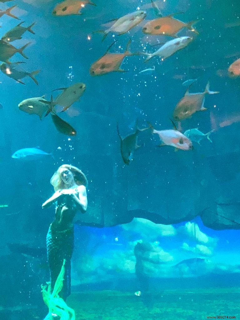 The new show at the Aquarium de Paris:Claire the Mermaid 