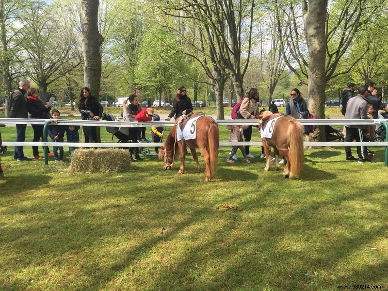 Les Dimanches au Galop, an original family outing 